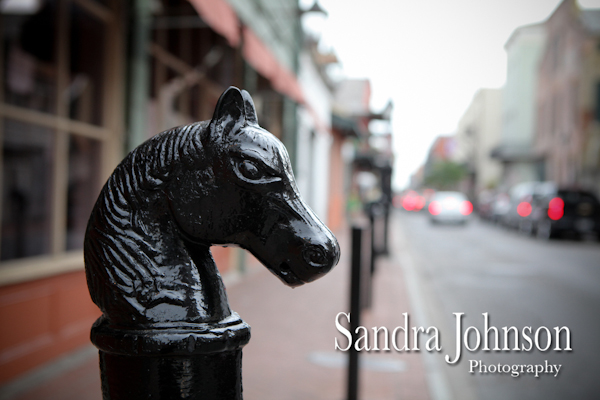 Best New Orleans wedding photographer - Sandra Johnson (SJFoto.com)
